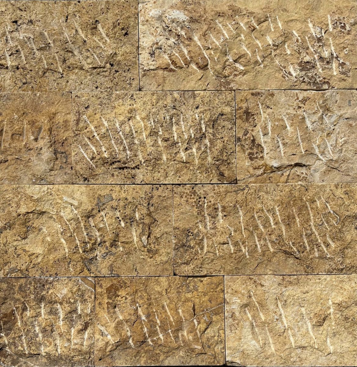 Yellow Travertine natural stone